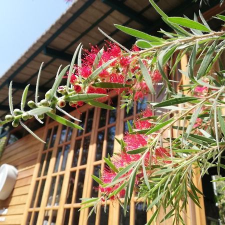 צ'יאנג מאי Paiyannoi Guesthome מראה חיצוני תמונה