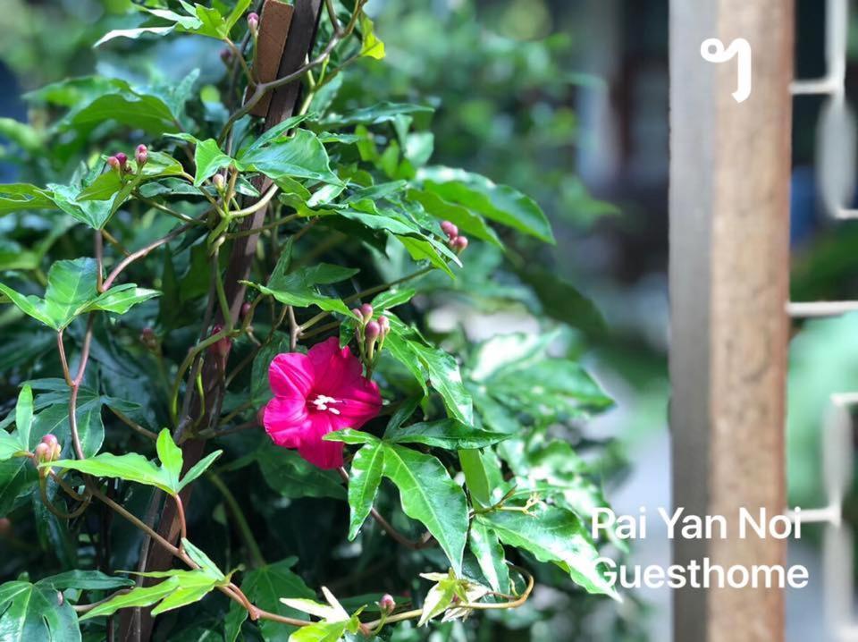 צ'יאנג מאי Paiyannoi Guesthome מראה חיצוני תמונה