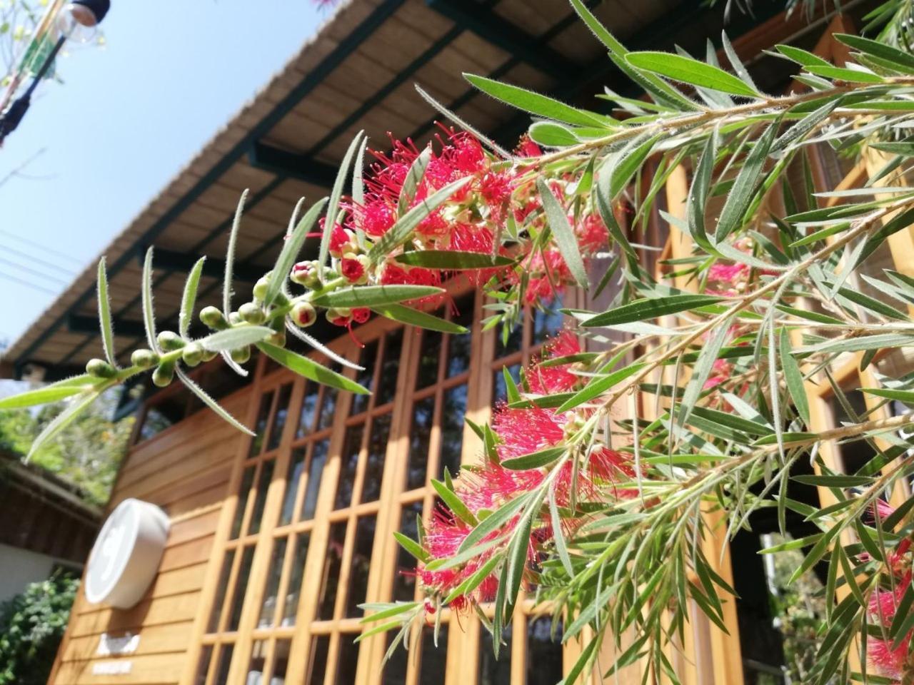 צ'יאנג מאי Paiyannoi Guesthome מראה חיצוני תמונה